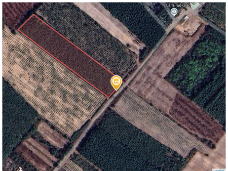 Bán đất 10196.1m² tại Xã Vĩnh Thanh Huyện Nhơn Trạch