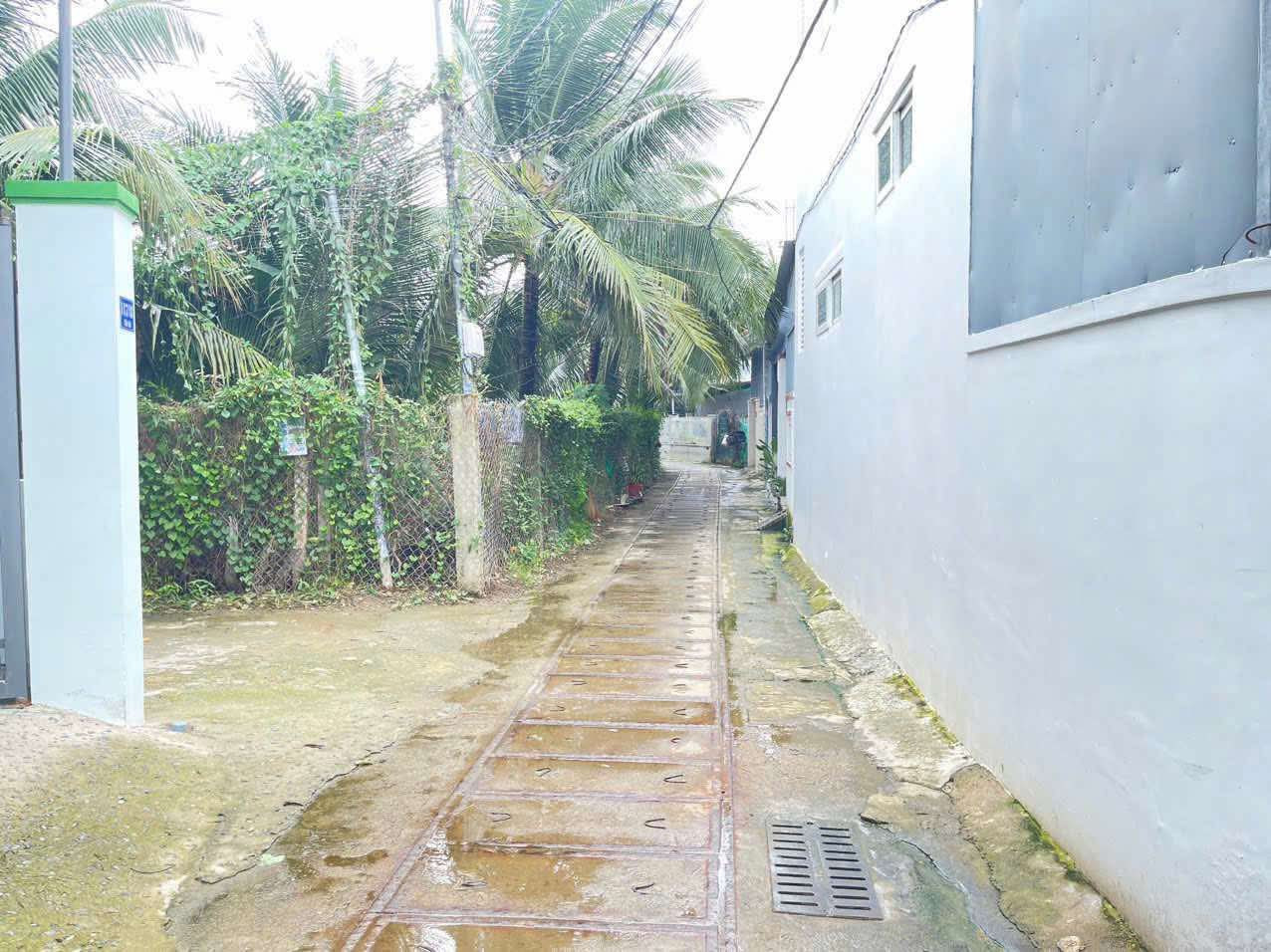 Bán đất thôn Phú Vinh