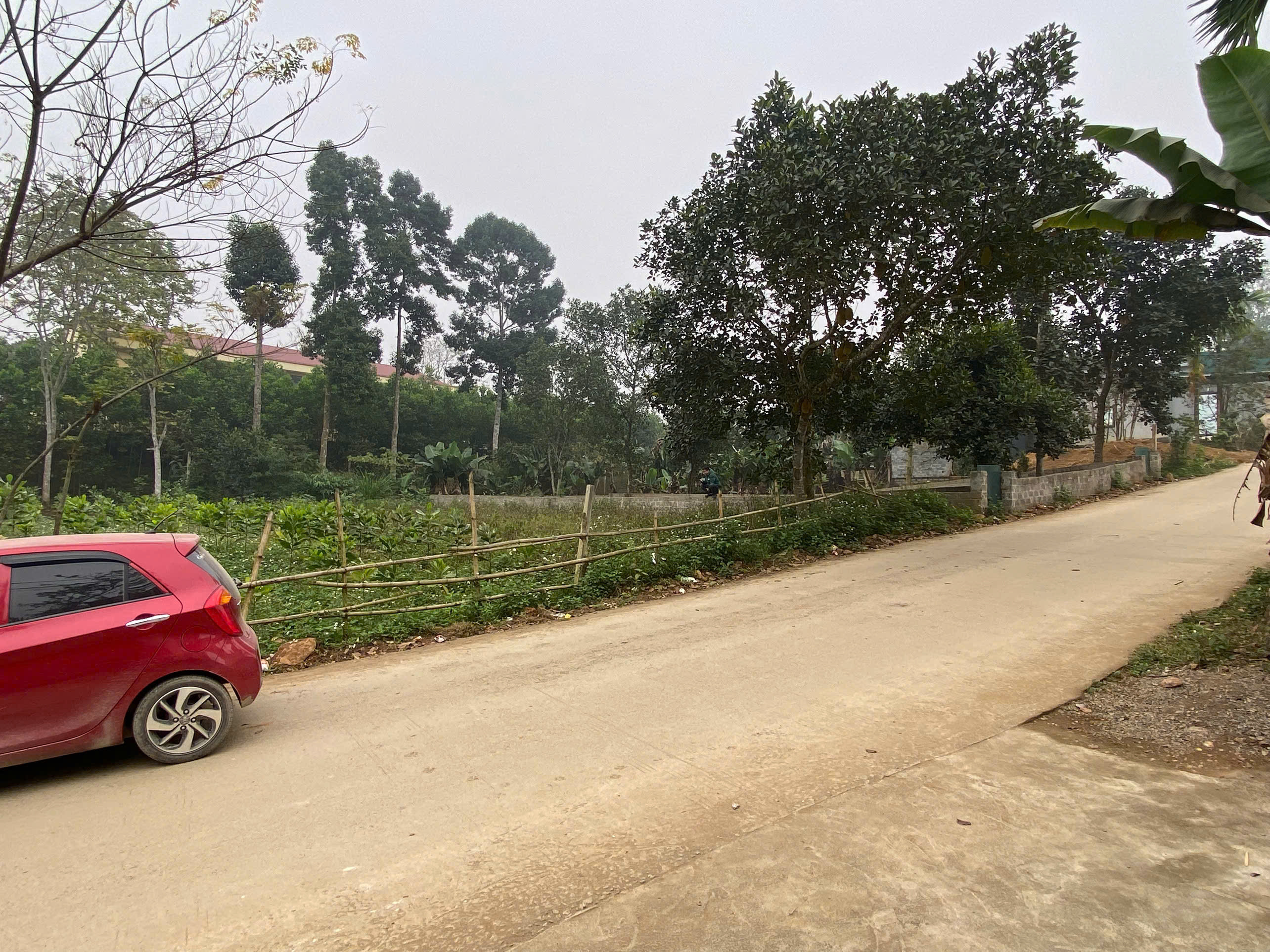 Bán 290m tại Kim Bôi, Hoà Bình có nguồn Khoáng Nóng trong đất