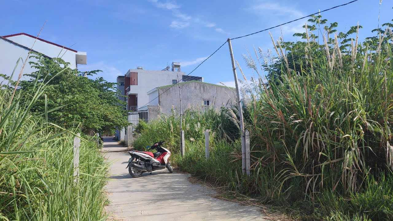 Bán đất