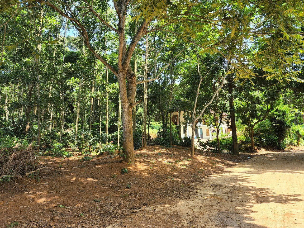 1000m vuông vắn view hồ đẹp khỏi chê Lạc Sơn Hòa Bình giá rẻ chính chủ cần bán