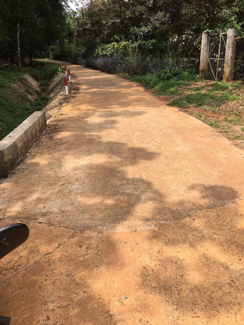 Bán đất vườn sầu riêng dân cư đông mặt tiền đường bê tông
