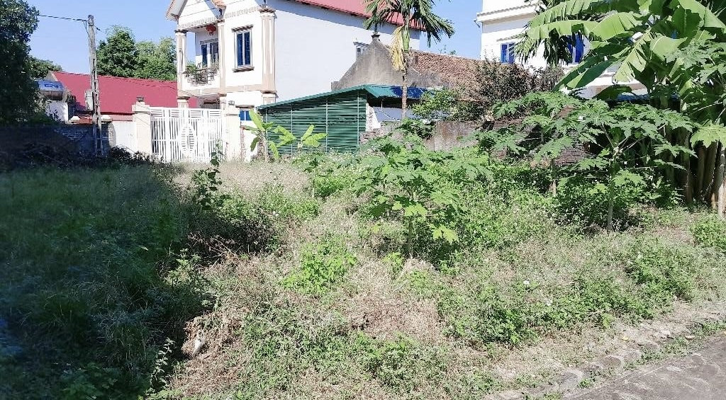 Bán 220 m Đất Tại Đại Tảo - Xuân Giang 2 mặt Thoáng phù hợp ở