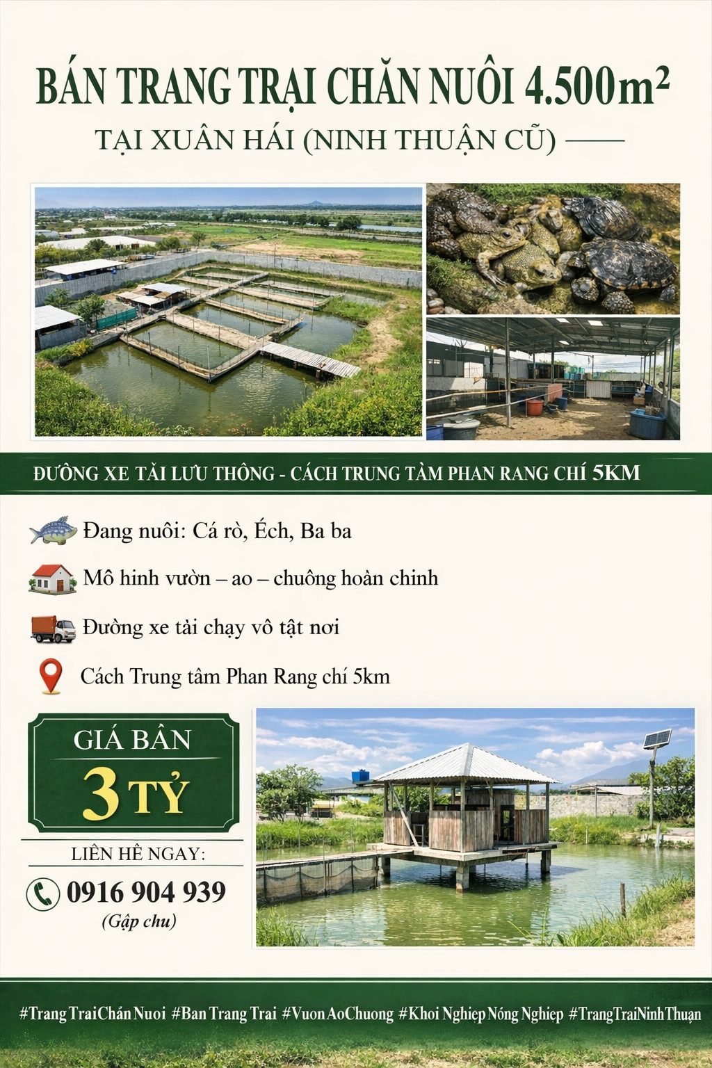 🌿 Bán trang trại chăn nuôi 4.500m² tại Xuân Hải (Ninh Thuận cũ) 🌿