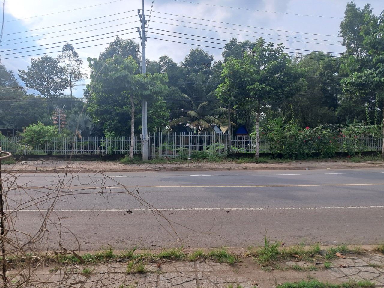 Cần bán 1.2ha có 41m mặt tiền TL 765, giá siêu hot.