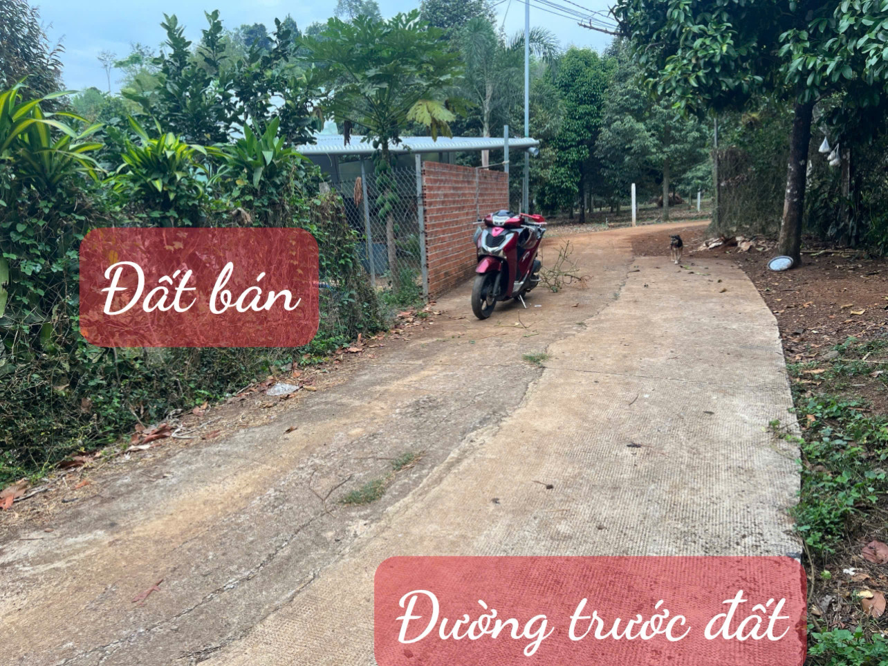 Bán đất 500m² 790 triệu tại Phường Xuân Lập Thành phố Long Khánh