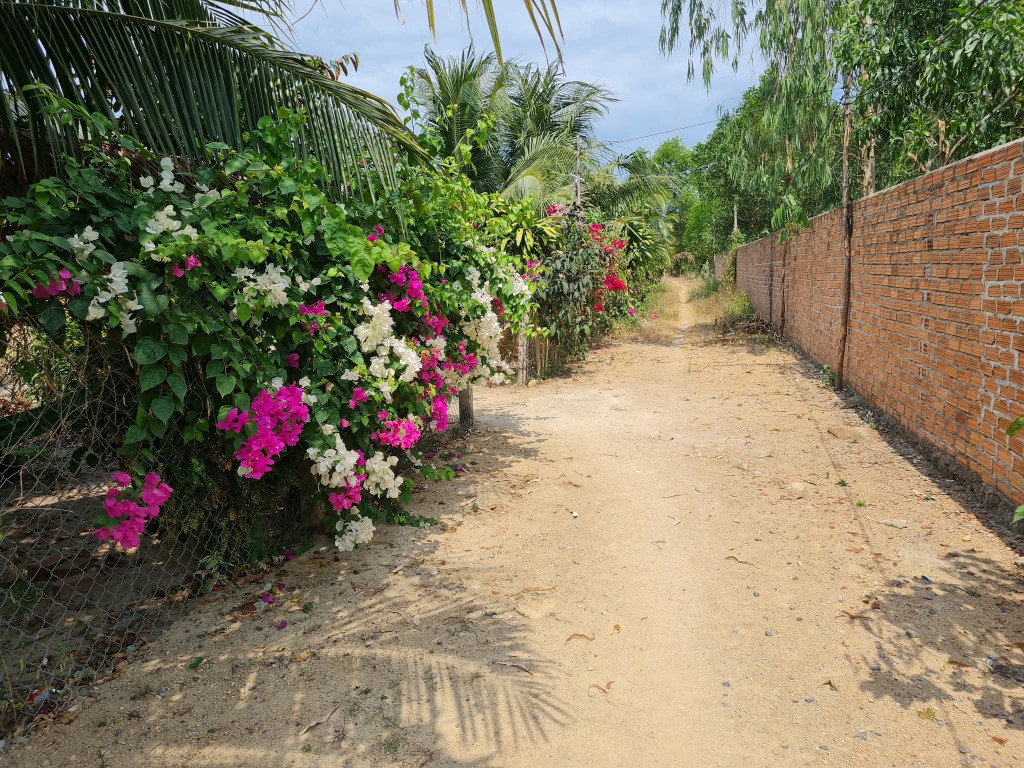 Sổ Hồng