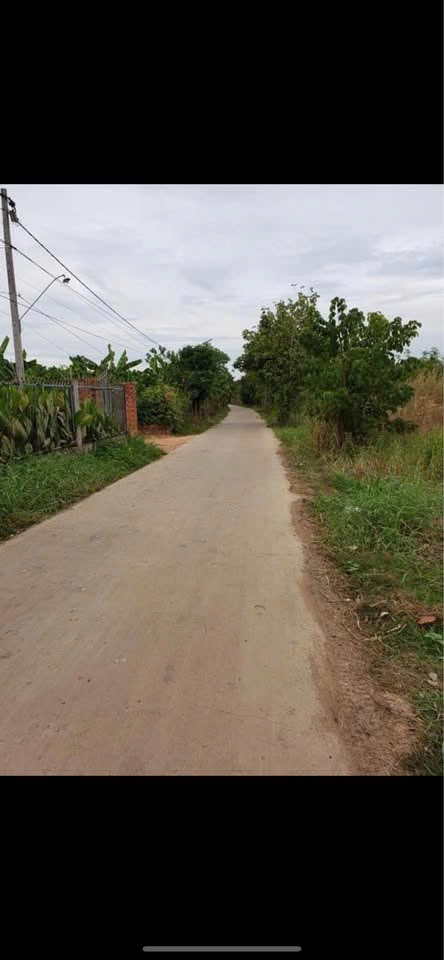 Bán 1400m2 mặt tiền đường bê tông tại Xuân Phú