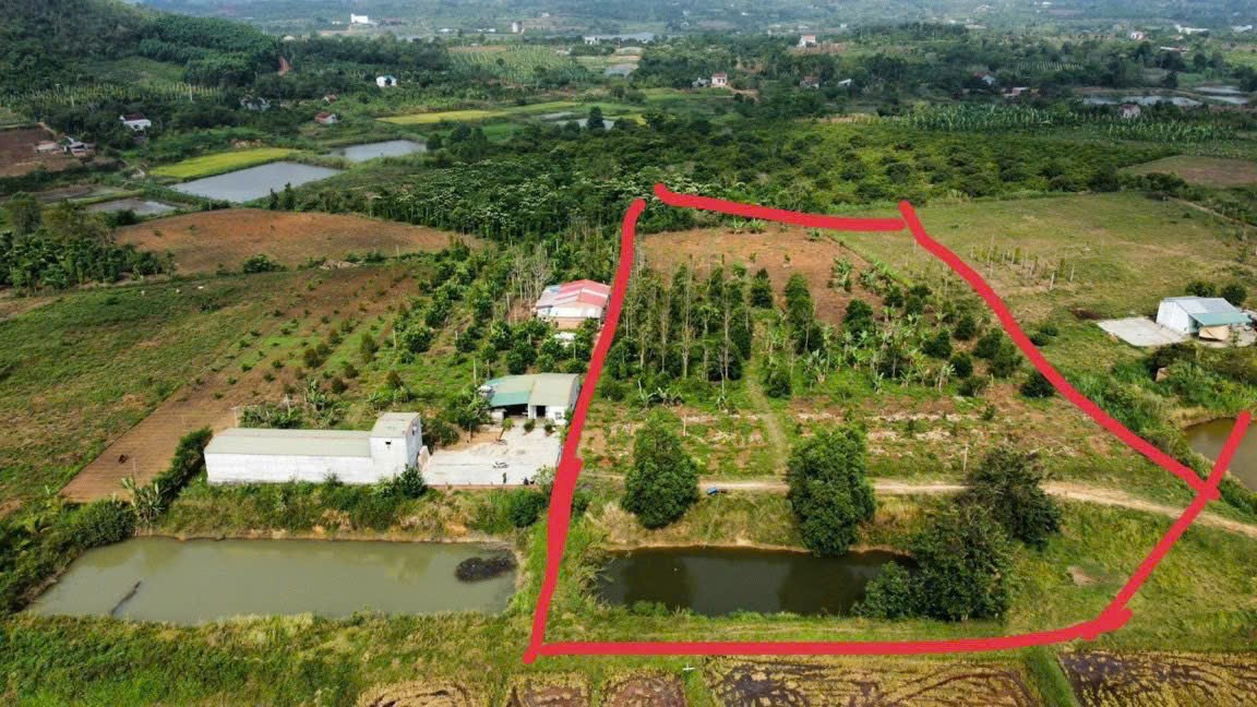 Bán đất thổ cư 8194m² 950 triệu tại Xã Xuân Phú Huyện Ea Kar