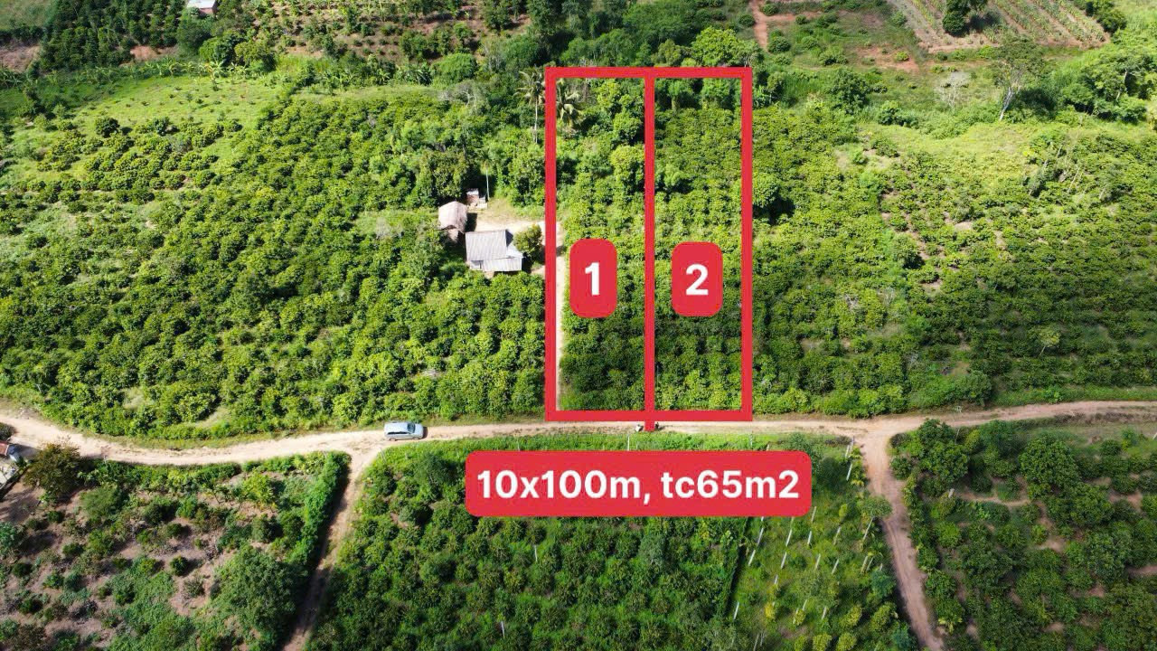 Bán đất thổ cư 1093.9m² ngang 10m giá 249 triệu tại Xã Xuân Phú Huyện Ea Kar