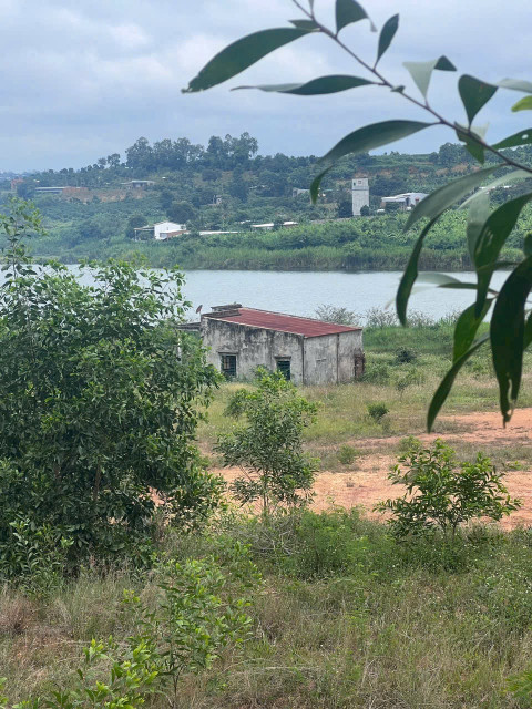 Bán đất 7800m² giá 950 triệu tại Xã Xuân Phú Huyện Ea Kar