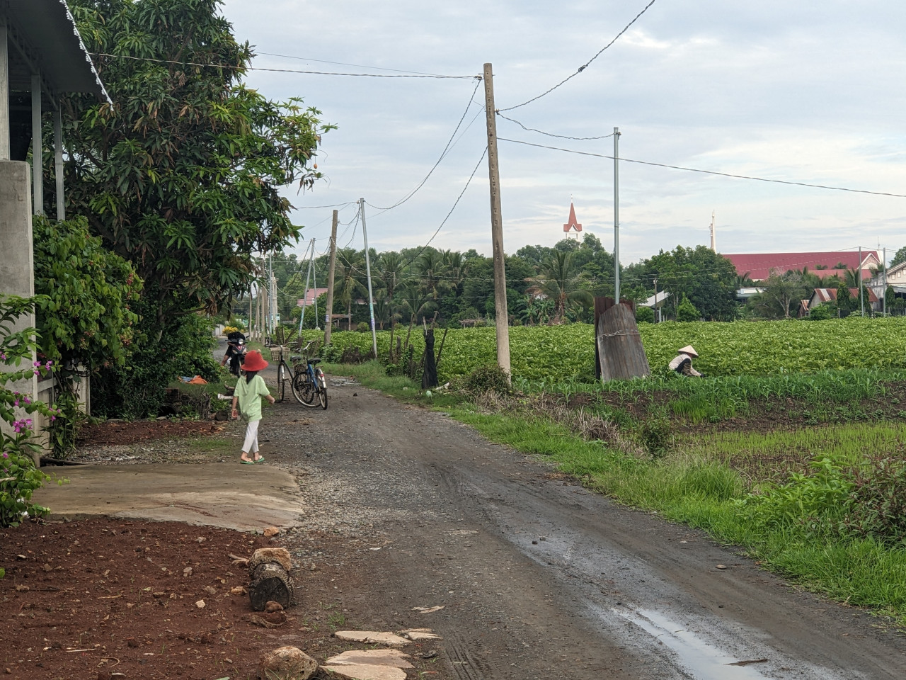 Bán nền đất thổ cư cách QL 1A chỉ 300m tại Xuân Phú - Xuân Lộc