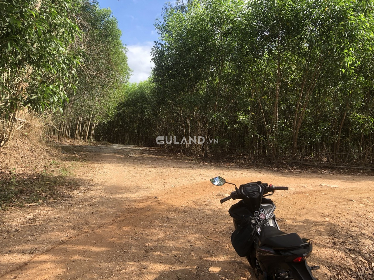 Đất sào nông nghiệp giá từ 1 tỷ đến 2 tỷ bán ở xã Xuân Tây, huyện Cẩm Mỹ, tỉnh Đồng Nai