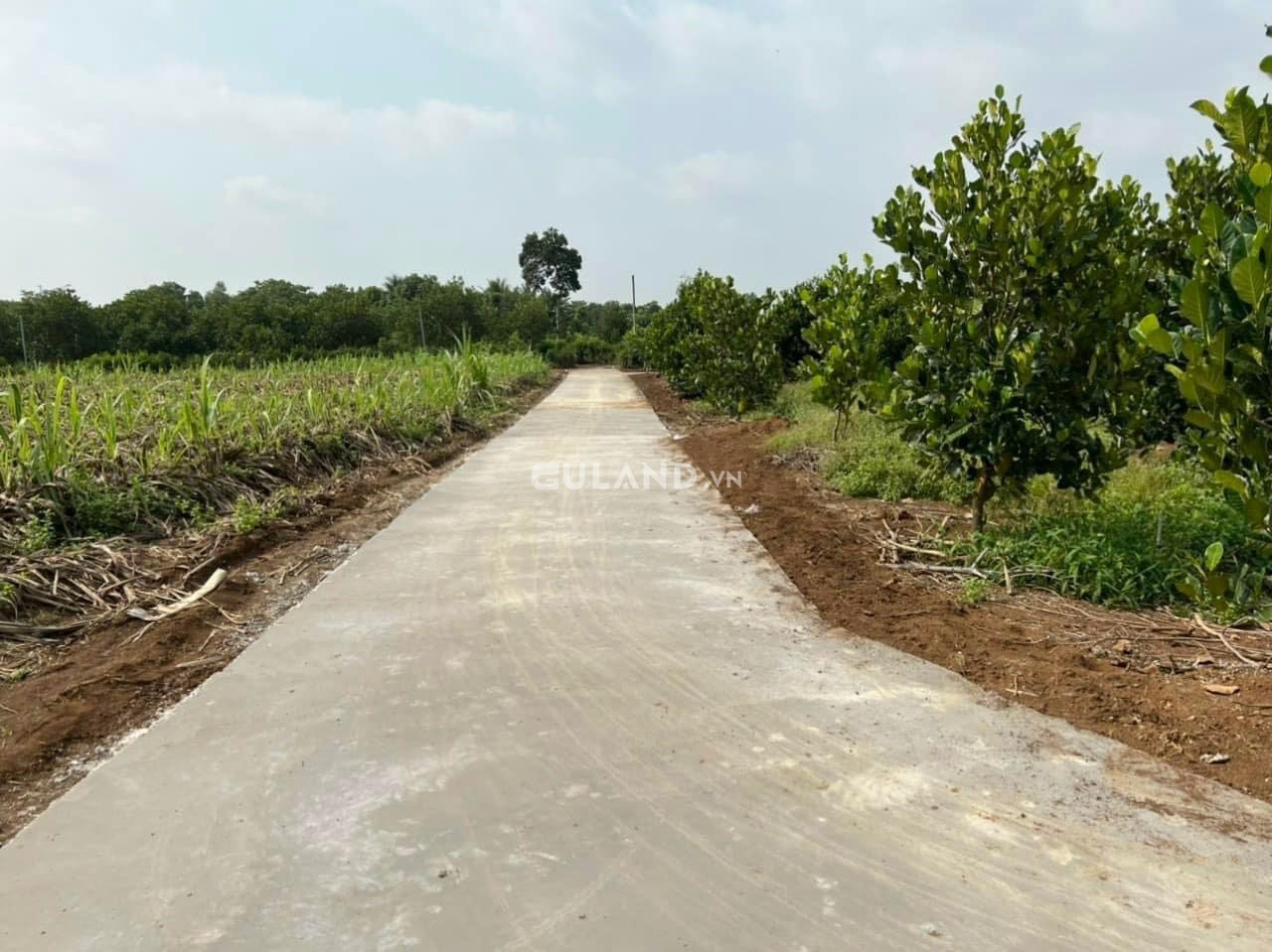 Đất sào nông nghiệp khoảng giá từ 1 tỷ đến 2 tỷ bán ở xã Xuân Tây, huyện Cẩm Mỹ, tỉnh Đồng Nai
