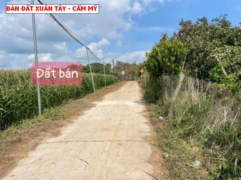 Bán đất Xuân Tây, Cẩm Mỹ giá chỉ 5xxtr/ lô sổ sẵn