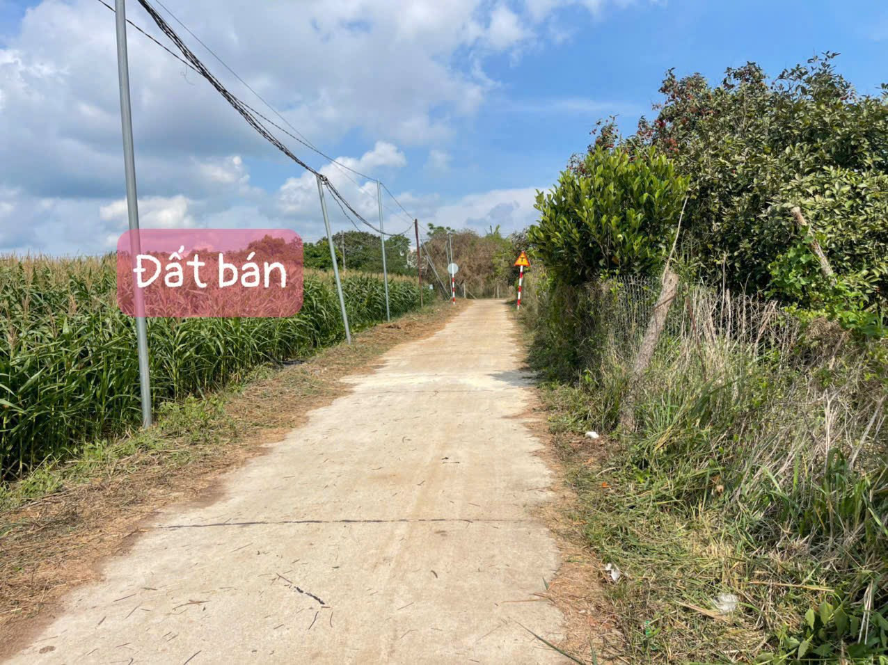 Bán đất thổ cư 138m² 599 triệu tại Xã Xuân Tây Huyện Cẩm Mỹ, Đồng Nai
