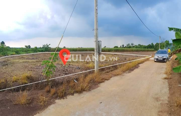 Bán đất sào nông nghiệp ở xã Xuân Tây, huyện Cẩm Mỹ, tỉnh Đồng Nai