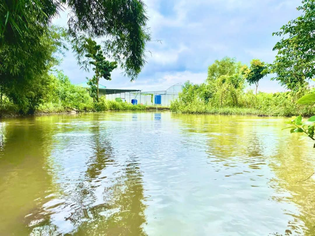 Bán đất 1 mẫu đất view suối giá 2 tỷ tại Xã Xuân Thọ Huyện Xuân Lộc