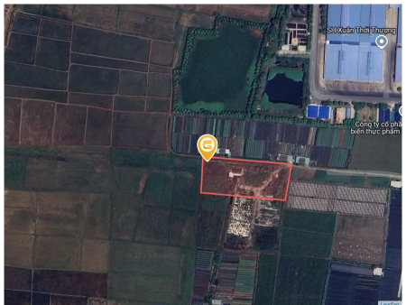 Bán đất 2,462.0m² 6.4 tỷ tại Xã Xuân Thới Thượng Huyện Hóc Môn