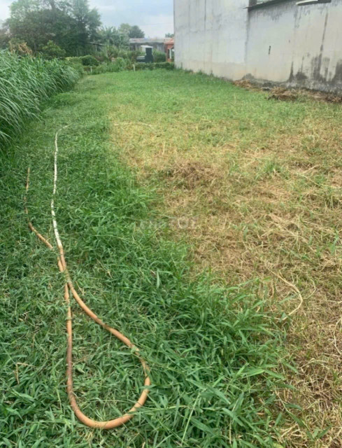 Bán đất 229.7m² Tại đường Nguyễn Thị Thử Hóc Môn 13 tỷ tại Xã Xuân Thới Thượng Huyện Hóc Môn