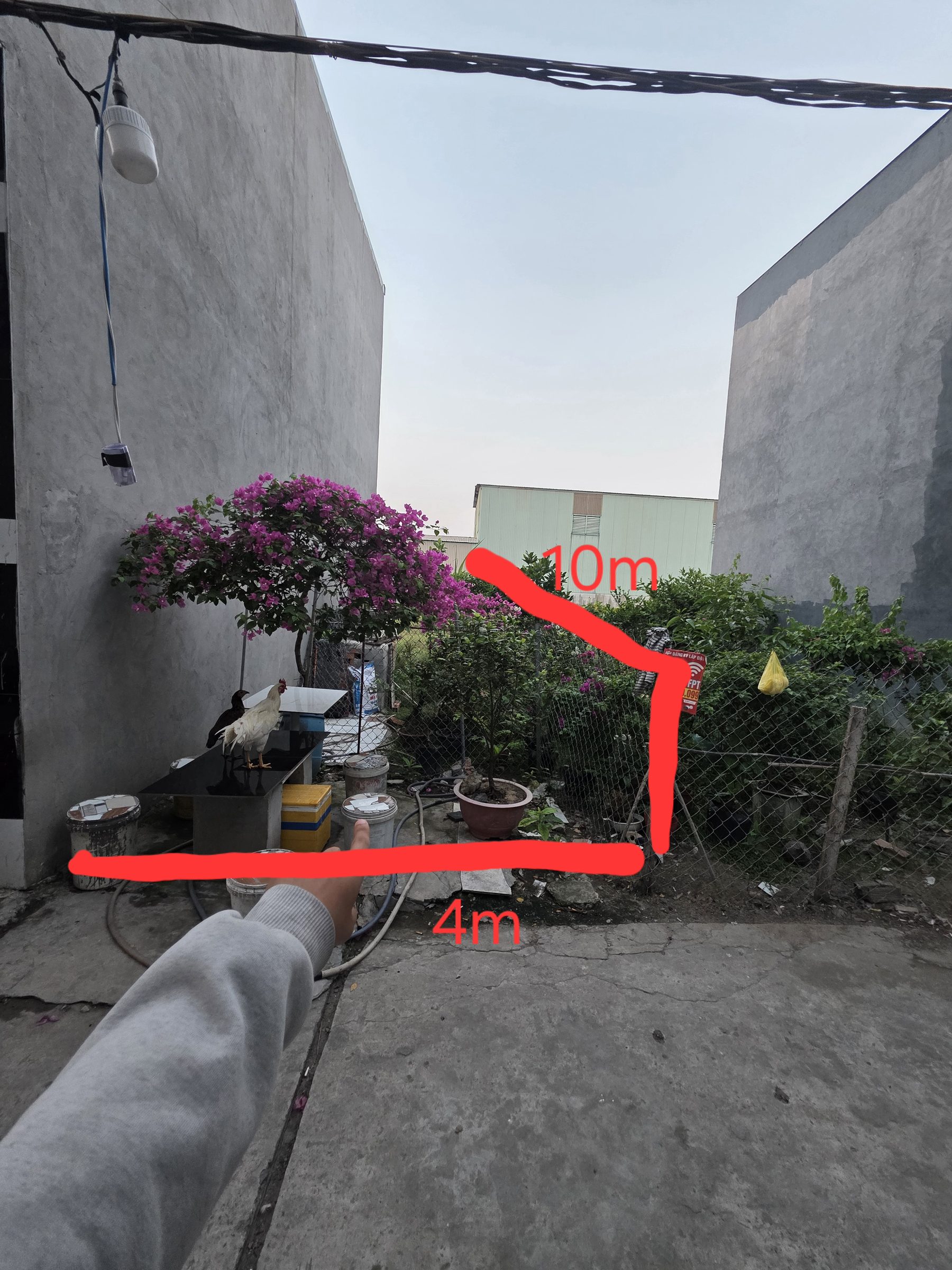 Bán lô đất ở Hóc Môn gần chợ Nhị Xuân đường Nguyễn Văn Bứa giá 295 triệu