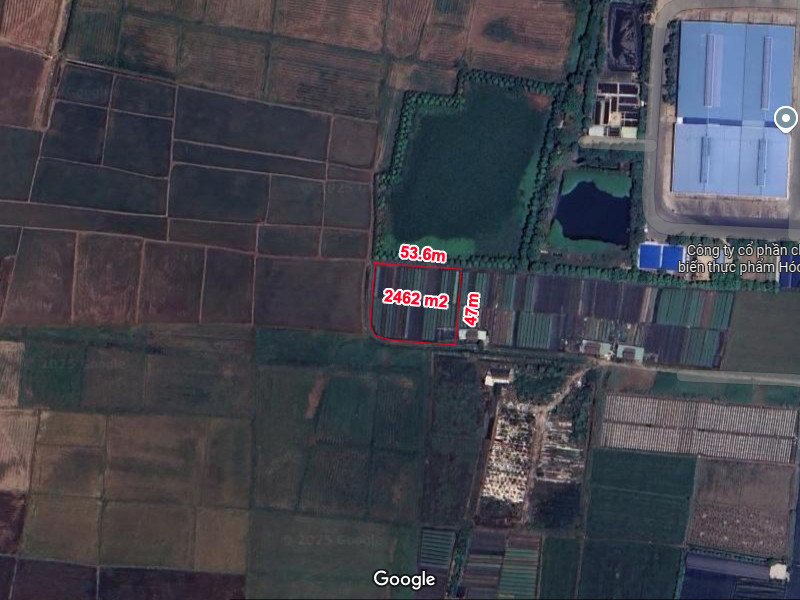 🔥 Rẻ! Đất 2.5tr/m² 0.25Ha – Xuân Thới Thượng 2 HM