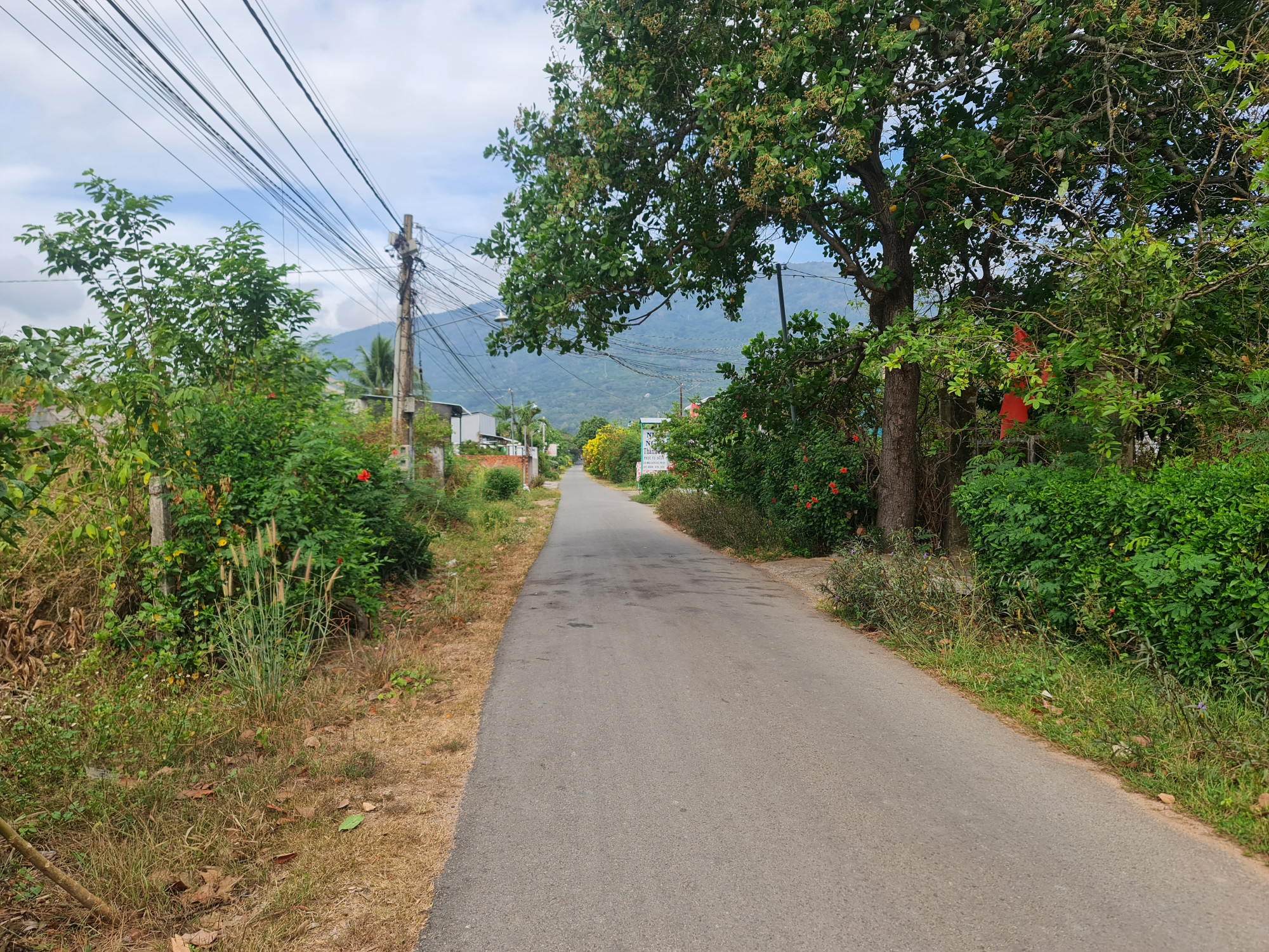 Bán đất mt đường nhựa cây số 2 Xã Xuân Trường Huyện Xuân Lộc