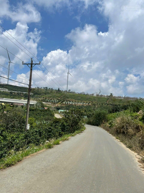 Bán đất tại Xuân Trường