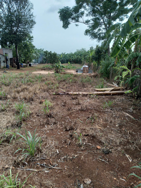 Bán đất 1004,2m² ngang 15m giá 1.6 tỷ Xã Xuyên Mộc