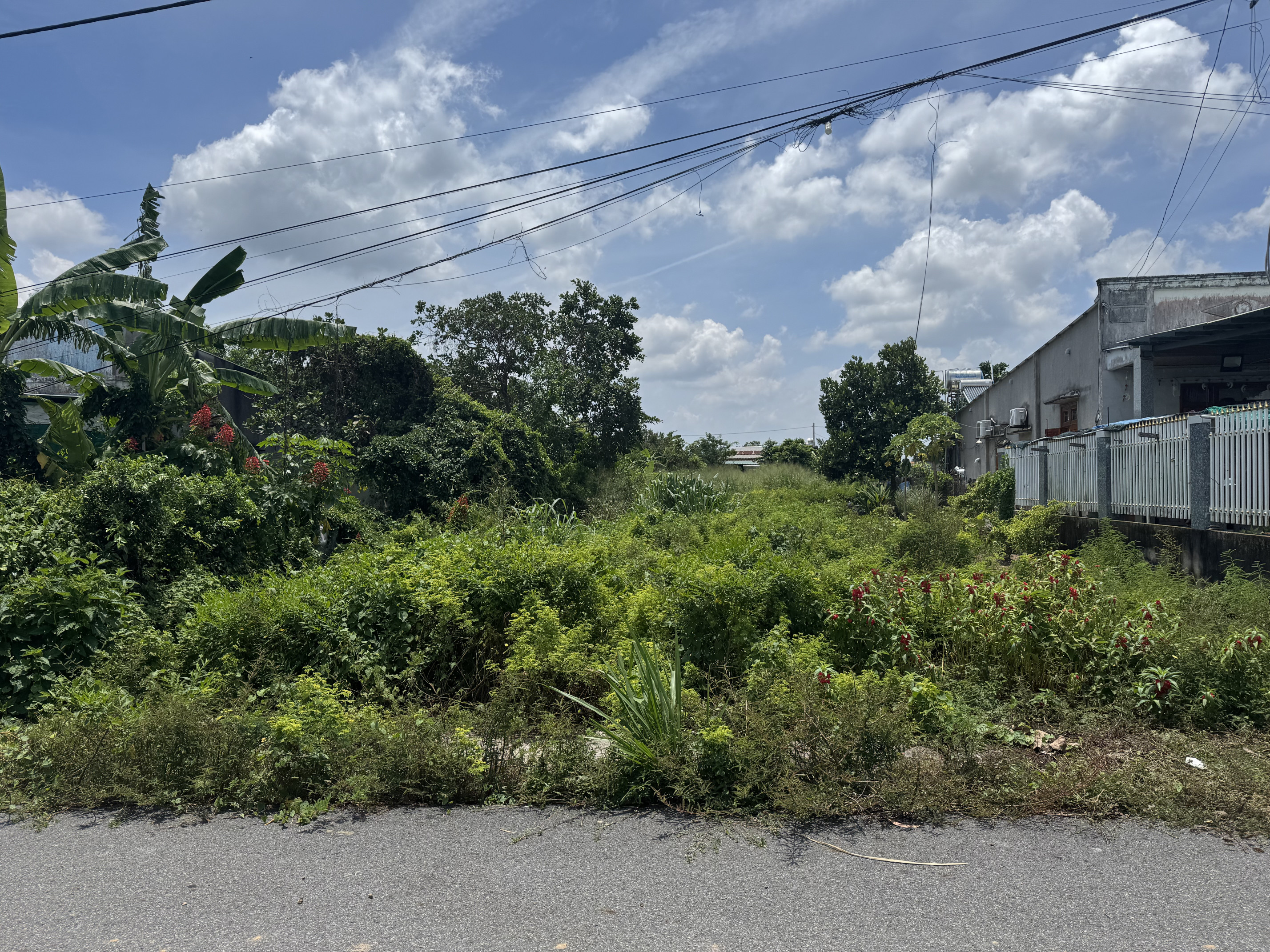 Bán đất 650m² ngang 11m giá 2.4 tỷ Xã Xuyên Mộc