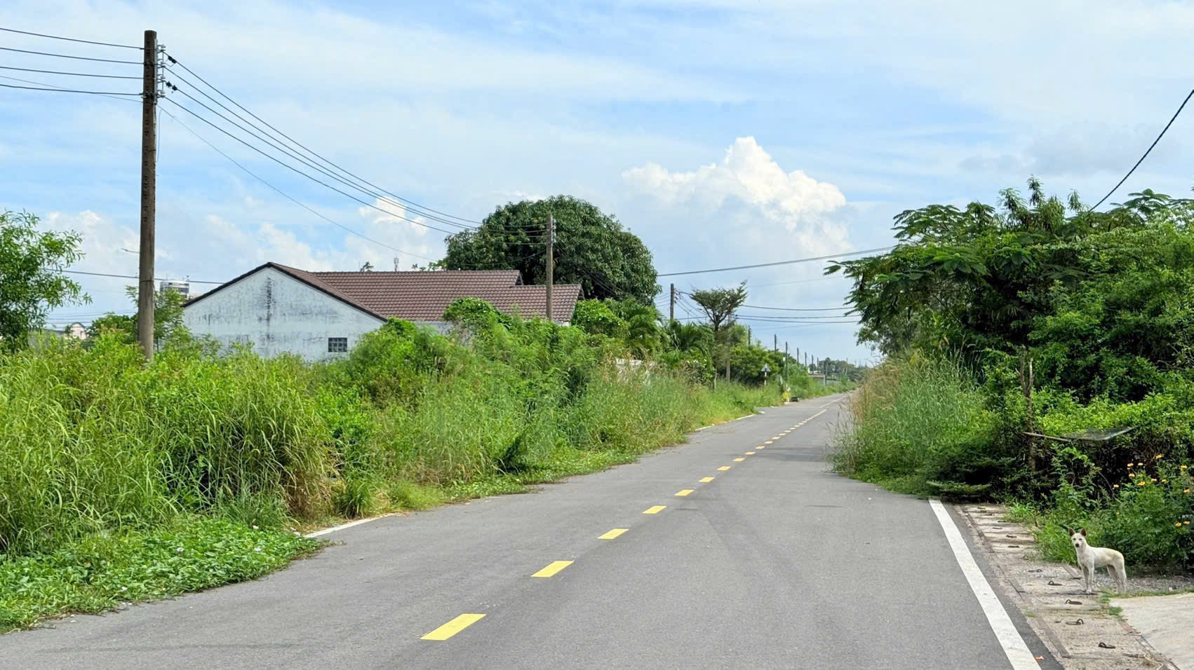 Bán đất làm nhà vườn nghỉ dưỡng,mặt tiền đường nhựa 6m, cách hồ Bà Tô 1.5 km.