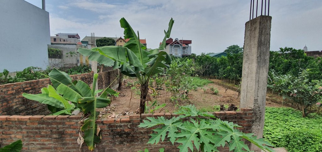 🌿 CẦN BÁN 2 LÔ ĐẤT VUÔNG ĐẸP NHƯ PHÂN LÔ TẠI XÃ PHƯỢNG SƠN, QUỐC OAI – NGÕ Ô TÔ VÀO NHÀ, GẦN CHỢ TRƯỜNG HỌC.