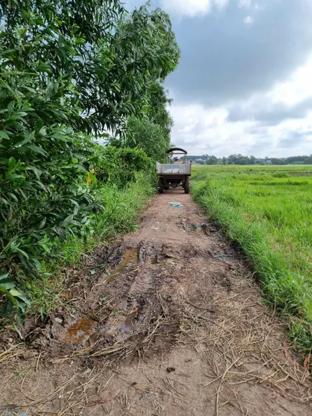 (L355) Đất nông nghiệp đẹp xã Tân Thạnh Đông, DT 1899m2, chỉ 3 tỷ 700