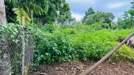 Bán đất 1533.4m² 3.5 tỷ tại Phường Ea Tam Thành phố Buôn Ma Thuột