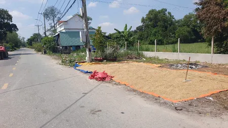 (S470) Đất đường Phú Thuận , xã Trung Lập Thượng, DT 298m2, thổ 92m2, chỉ 1 tỷ 400