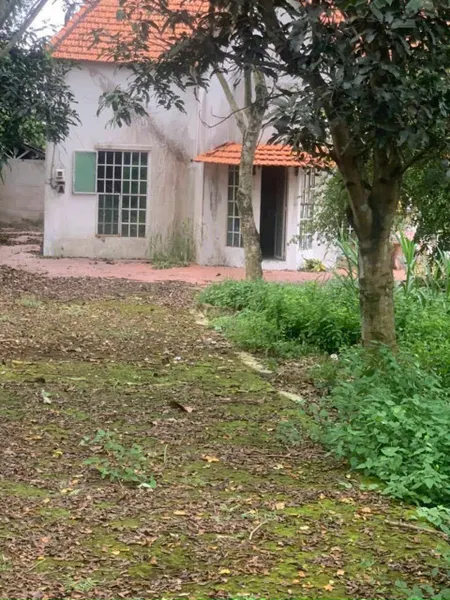 (B368) Bán nhà vườn đường Bến Sình, xã Phú Hòa Đông, DT 1485m2, chỉ 8 tỷ