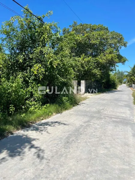 Bán  đất nông nghiệp 318m² , giá 360 triệu tại, Xã Ninh Thượng, Thị xã Ninh Hòa, Khánh Hòa