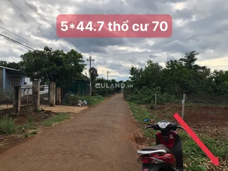 EA TIÊU - CẦN BÁN 520 TRIỆU- 5*44 - ĐƯỜNG NHỰA
