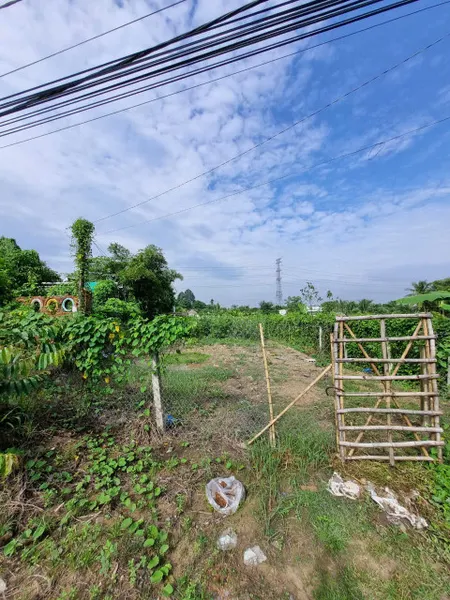 (B394) Đất đường Trung An, xã Trung An, dt 658m2, thổ 300m2, chỉ 5 tỷ 500