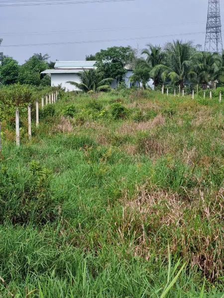 (B395) Đất đường Trung An, xã Trung An, DT 790m2, thổ 300m2, chỉ 6 tỷ