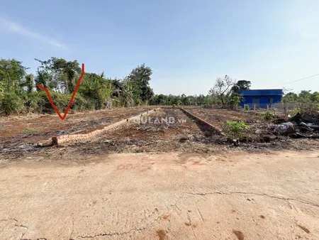 450 TRIỆU SỞ HỮU LÔ ĐẤT RẺ CƯ SUÊ 5*26.7 ĐƯỜNG BÊ TÔNG SẠCH ĐẸP
