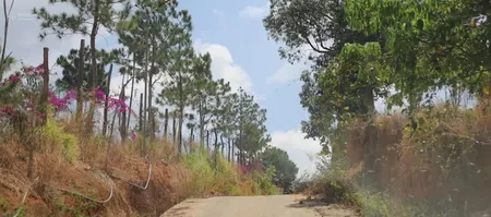 Cần bán hơn 7 sào đất tại Đông Thanh