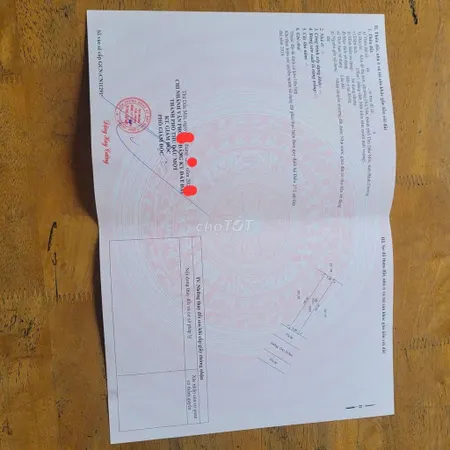 Cần tiên bán gấp