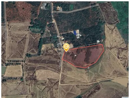 Bán đất 10000m² 800 tc 2.8 tỷ tại Xã Ea Na Huyện Krông A Na