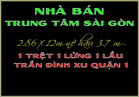 Nhà phố rẻ 1 trệt 1 lửng 1 lầu Trần Đình Xu Quận 1 TP.HCM