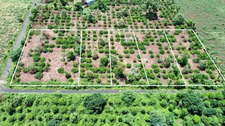 Bán đất 508.3m² 495 triệu tại Xã Hòa Thắng Thành phố Buôn Ma Thuột