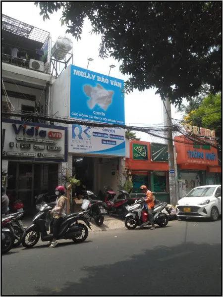 Top nhà phố rẻ tiện kinh doanh 1 trệt 1 lầu mặt tiền Tân Phước Q10 TP.HCM