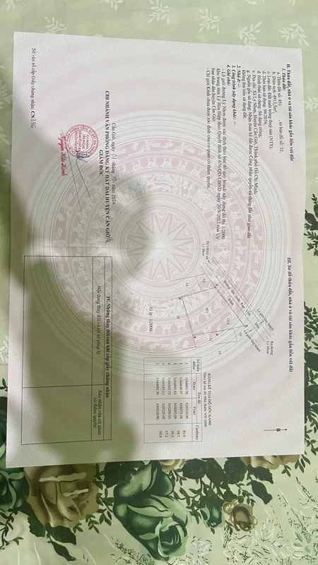 Bán đất ngợp mặt đường Dương Văn Hạnh xã lý Nhơn