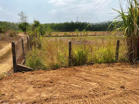 Bán đất đẹp đường nhựa