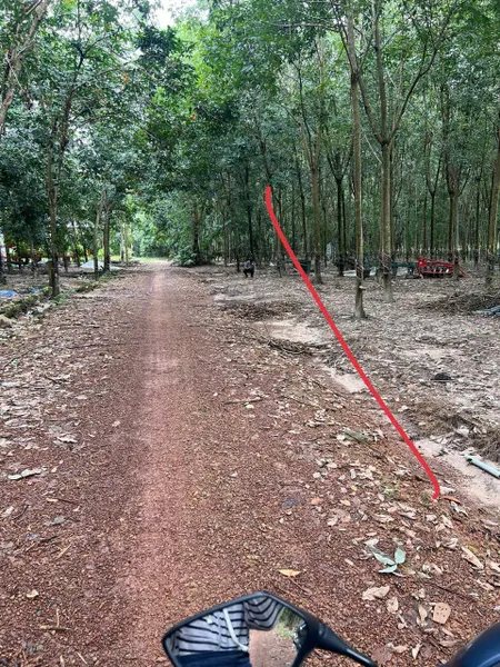 Bán đất 1769m² ngang 20.03m giá 3.2 tỷ tại Xã Minh Hoà Huyện Dầu Tiếng